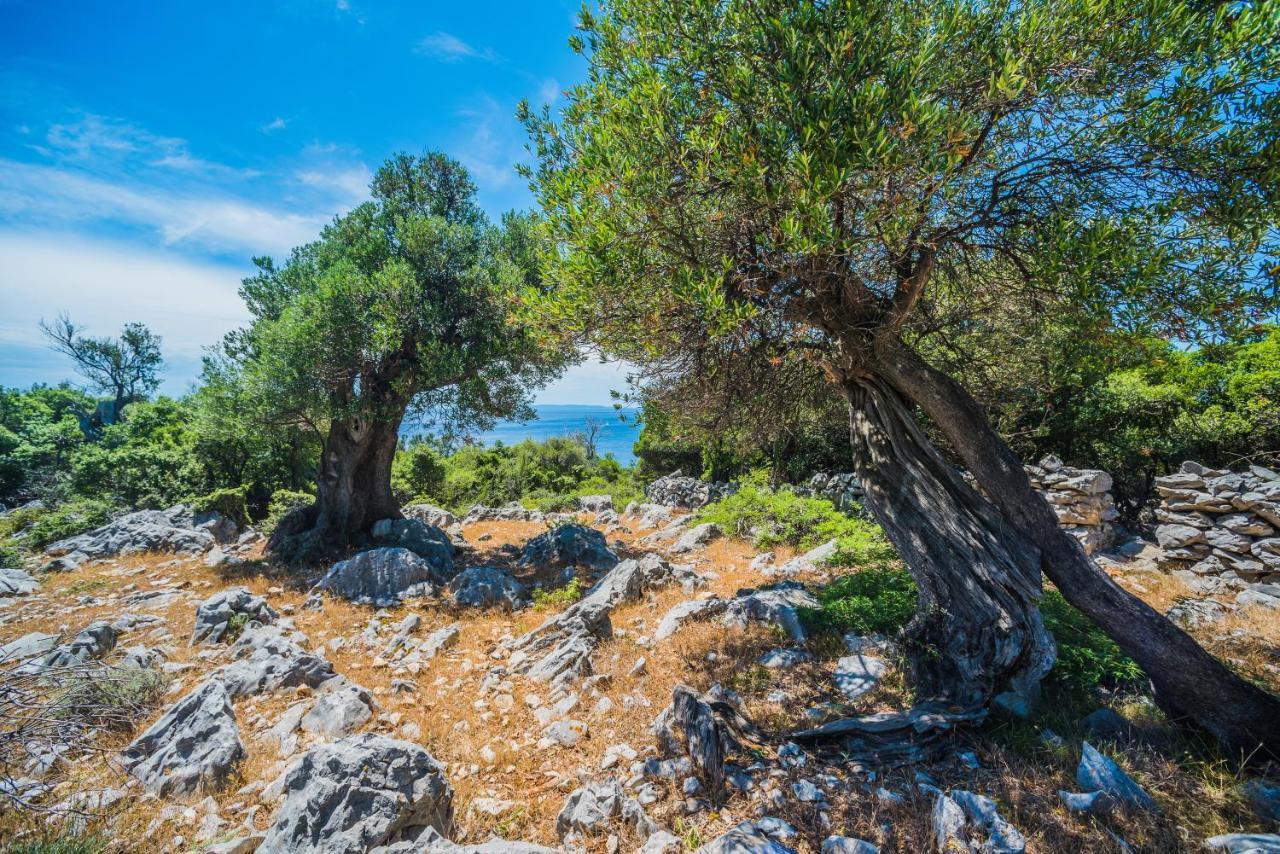 Appartamento Avada Premium Novaglia Esterno foto